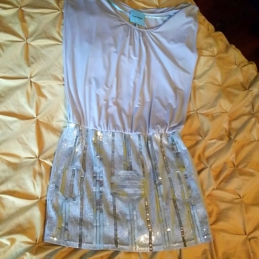Beautiful Satin and sequined dress
